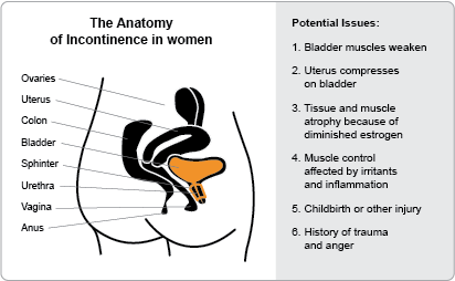Incontinence in Women Can Have Several Possible Causes