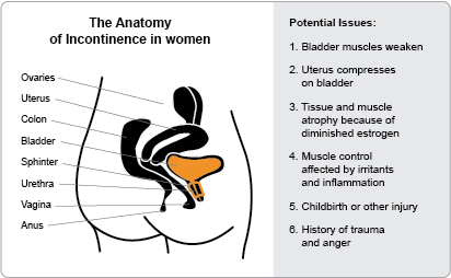 Incontinence In Women - Reasons & How To Deal