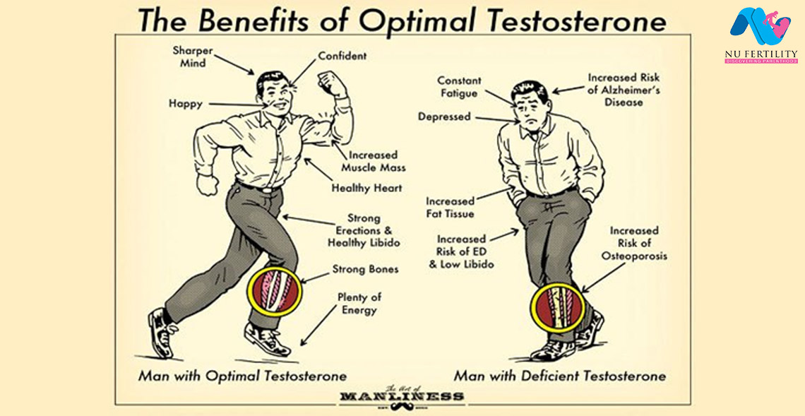 Low Testosterone - ASUI